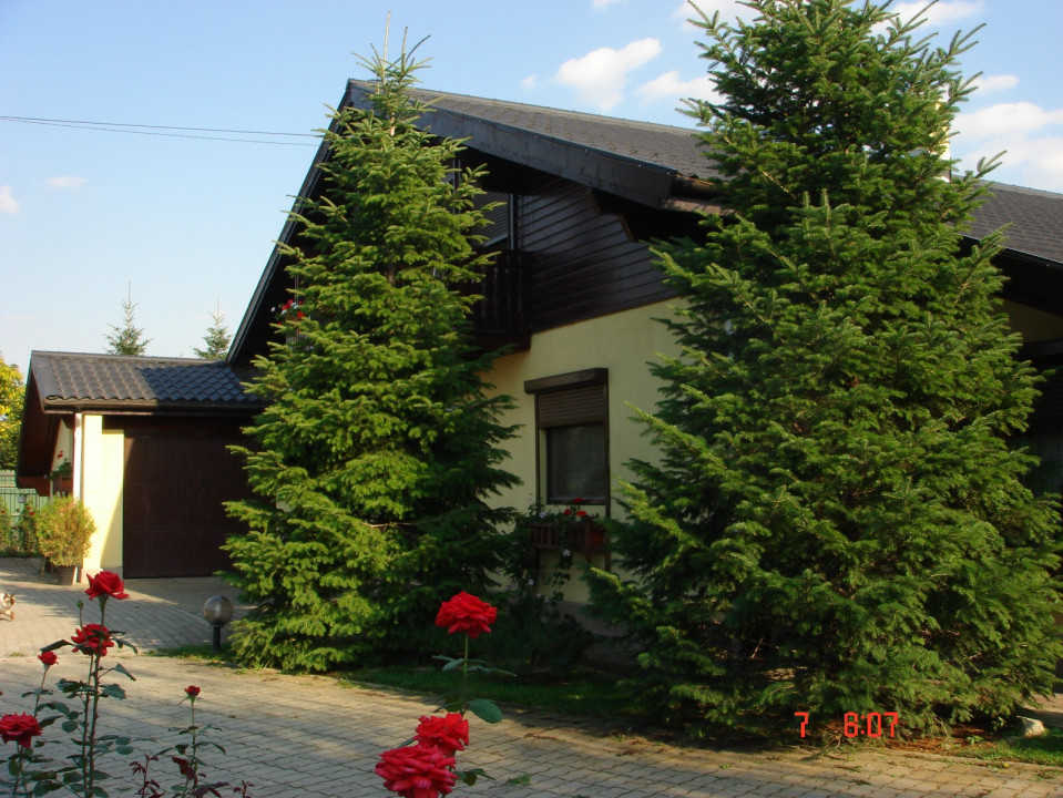 Vanzare Vila Otopeni