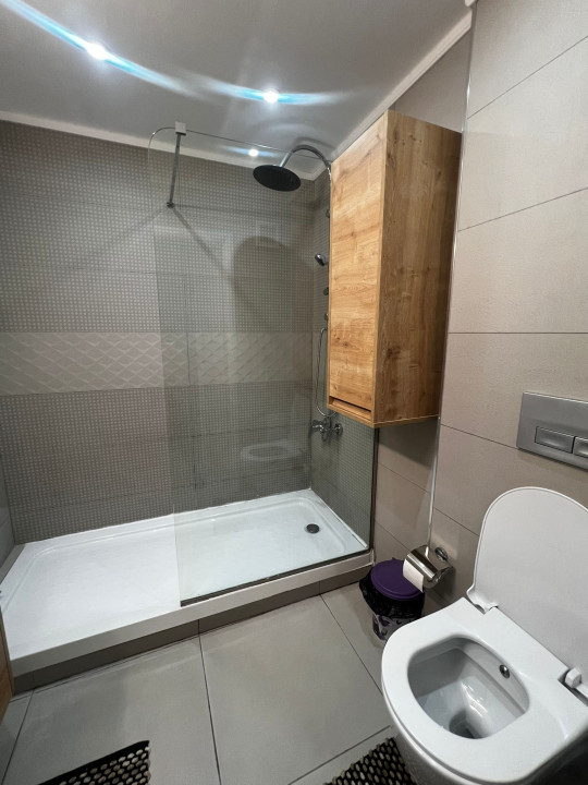 Apartament Victoriei -  Banu Manta