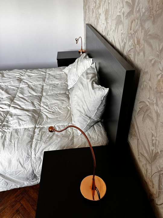 2 camere metrou Victoriei-Titulescu