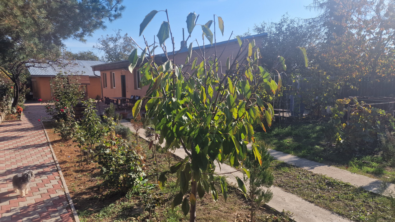 Casa de Vanzare in orasul Chitila