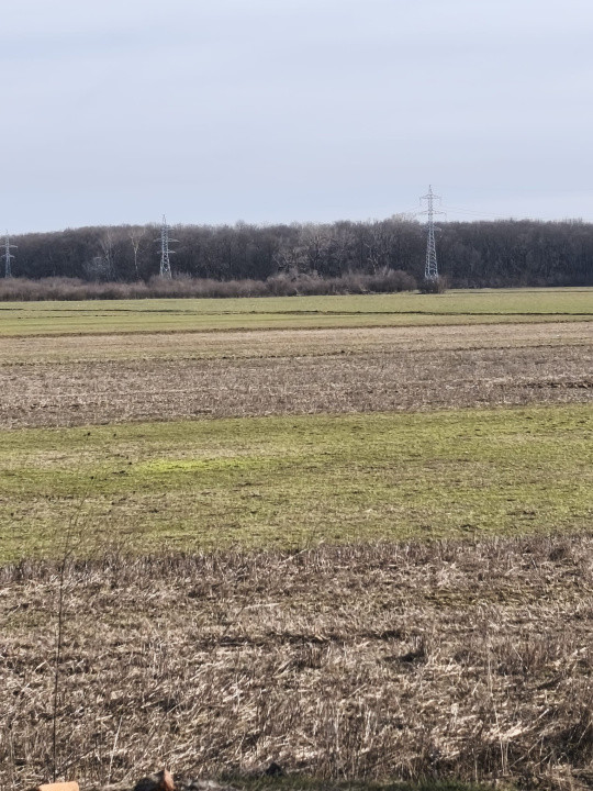 Teren Intravilan JILAVA