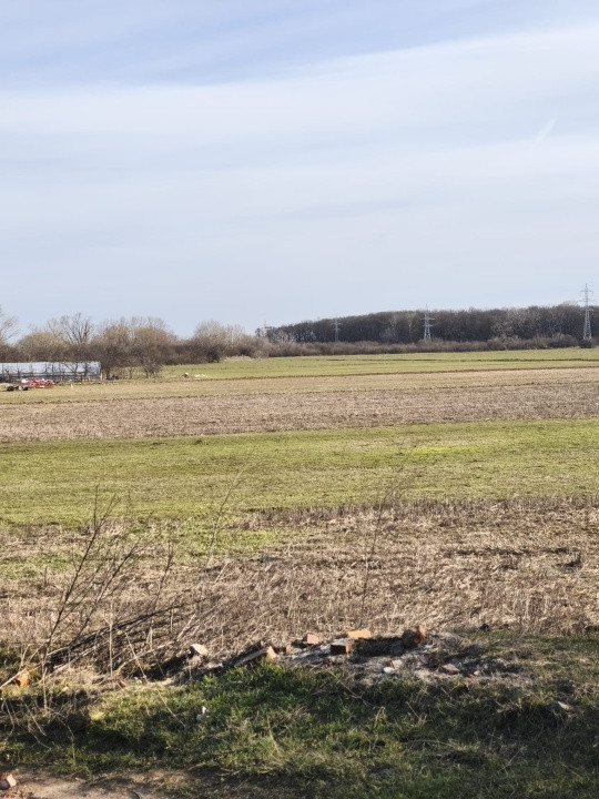 Teren Intravilan JILAVA