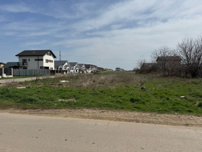 Teren intravilan situat in Orasul Berceni