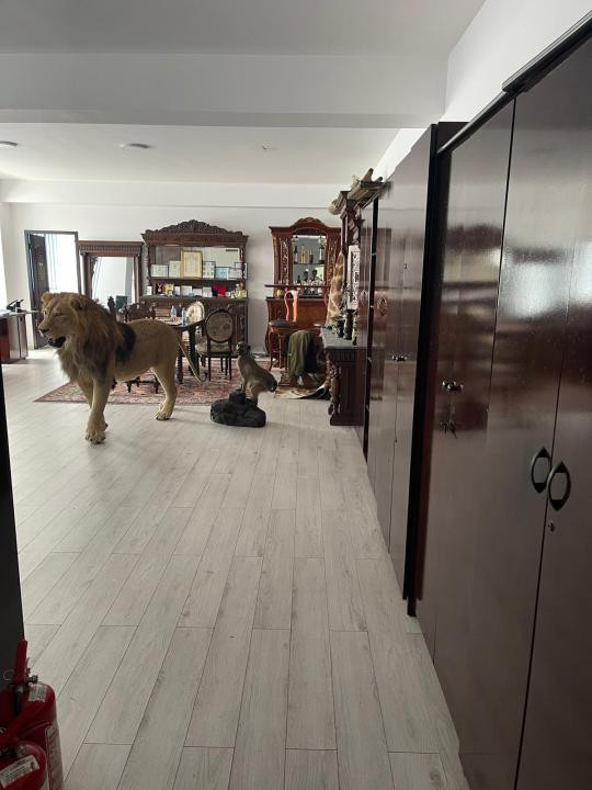 Afacere! Spațiu închiriat-  1500 eur/lună minim 10 ani 