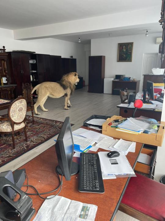 Afacere! Spațiu închiriat-  1500 eur/lună minim 10 ani 
