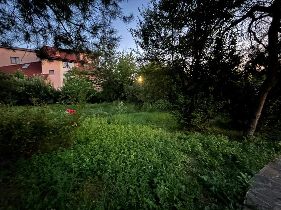 Inchiriere vila Pipera