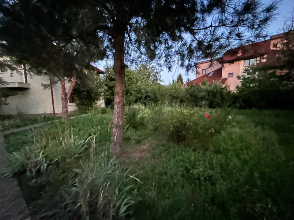 Inchiriere vila Pipera
