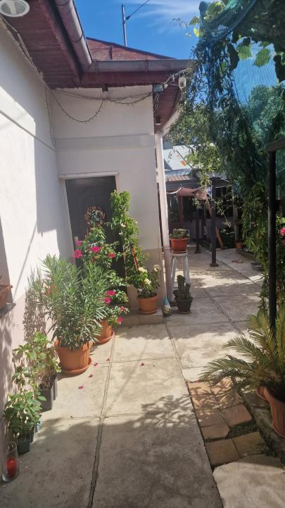 Vanzare casa Bucurestii Noi