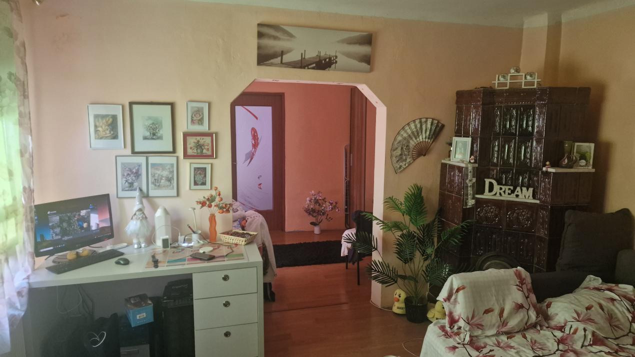 Vanzare casa Bucurestii Noi