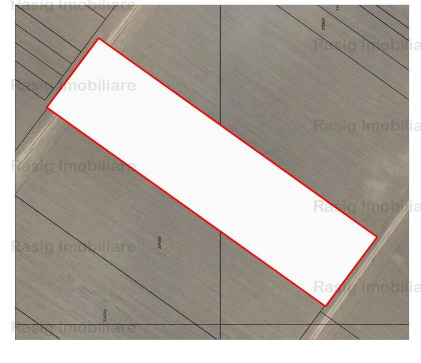 Oportunitate ! Teren 1 ha ,zona Berceni - IMGB , POT=70 %, CUT=3